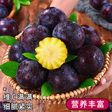 甘福园智利黑布林李子水果酸甜多汁脆李黑金刚恐龙蛋孕妇应当季整箱包邮 智利进口黑布林【2斤】 【热卖装】