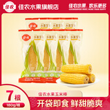 佳农水果玉米棒真空包装 开袋即食 非转基因25年新产季 烘焙玉米蛋挞 180g*7棒