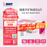 倍世（BWT） 第4代镁离子活力款滤芯 德国技术欧洲原装进口 过滤净水器家用滤水壶净水杯净水壶用 【镁离子】6只装