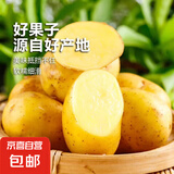 疯抢土豆新鲜现挖2025新土豆农家马铃薯黄皮黄心 黄心土豆小果 1斤(带箱)