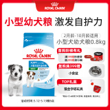 皇家狗粮 幼犬狗粮 幼犬奶糕宠物小型犬MIJ31全价犬粮2-10月800g