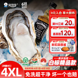 贝司令（BEISILING）【鲜活】乳山生态生蚝牡蛎贝类烧烤源头直发4XL净重9斤端午聚餐