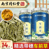 仁景全南京同仁堂 车前草 买1送1车轮菜泡茶牛舌草精选带穗