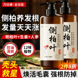 力仕康侧柏叶洗发水500ml 何首乌生姜人参草本防断发强健发根控油脱发用