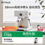 柏翠(petrus)【政府补贴】咖啡机意式浓缩家用小型半自动蒸汽打奶泡PE3833 海盐小方