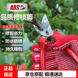 爱丽斯日本进口FB-8剪树枝园林剪刀园艺剪刀花剪果树修枝剪剪花枝剪刀