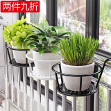 索尔诺悬挂花架阳台多肉架装饰架创意简约花盆挂架绿萝户外花架 三只装-白色【托底直径18】
