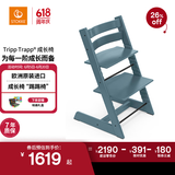 STOKKE 成长椅 Tripp Trapp 儿童餐椅宝宝婴儿座椅 TT椅 峡湾蓝