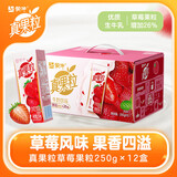 蒙牛真果粒牛奶饮品多口味可选 送礼佳品 新老装随机发 部分3月产 真果粒草莓果粒250g×12盒