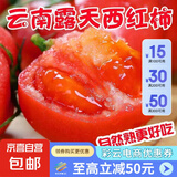 现摘沙瓤西红柿番茄可生吃现摘现发新鲜蔬菜减肥生鲜 精品小果(单果60g+) 4斤 带箱