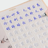 南国书香行楷字帖成人硬笔练字帖常用字魔幻钢笔练字