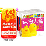 0-3岁认知识字早教大书（套装全5册）识车认物动物唐诗识字
