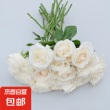 【玫瑰花】10枝装特价云南鲜花直发节日鲜花礼物花束家用水养插花 白玫瑰10枝