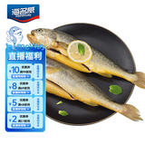 海名威 冷冻三去黄花鱼750g/2条 宁德大黄鱼 生鲜鱼类 海鲜水产 