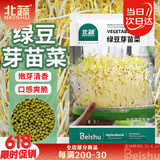 北蔬 绿豆芽苗菜种子种苗家庭水培无土栽培菜种籽 绿豆芽苗菜种子200g