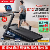 麦瑞克（MERACH）跑步机家庭用爬坡折叠运动健身房器材走步机幻影X5Pro MR-T10B5