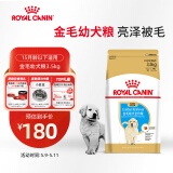 皇家狗粮 金毛幼犬狗粮 犬粮 宠物大型犬 AGR29全价犬粮2-15月龄3.5kg