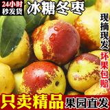 陕西大荔新鲜冬枣脆甜鲜枣正宗当季时令水果冰糖枣子青枣脆枣礼盒 现摘现发5斤优选好枣 脆甜优选装（实惠清甜）