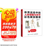 体育运动中的人体骨骼与关节彩色解剖图谱(人邮体育出品)