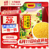 十月稻田 黄小米 溯源  2.5kg（小黄米 五谷杂粮 粥米早餐小米粥）5斤
