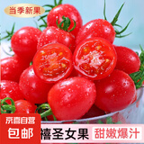 【现摘现发】新鲜圣女果水果小番茄天然产地直发减肥减脂早餐生吃 新鲜圣女果 1斤 净重