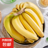 国产高山甜香蕉  新鲜水果 室温放苹果半密封催熟 4.5斤（普通蕉）净重