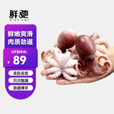 鲜驰八爪鱼新鲜小章鱼海鲜活冷冻水产即食长腿八抓鱼迷你章鱼足大爆头 小八爪鱼 3斤(净重) 