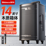新科 （Shinco）广场舞音响户外拉杆蓝牙音箱三喇叭重低音木质箱体家用K歌移动摆摊低音炮 8吋单咪