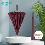 天堂 长柄加大雨伞半自动强抗风商务直杆伞晴雨伞65*16骨11013E探戈红