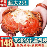 首鲜道 原装进口超大1-2只面包蟹鲜活熟冻螃蟹满黄大螃蟹海鲜蟹类 面包蟹 2只共1600-1200g（大号）