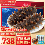 久年大连即食海参1500g35-48只 固形物超80% 冷冻辽刺参 海鲜水产礼盒