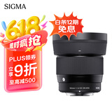 适马（SIGMA）56mm F1.4 DC DN｜Contemporary 半画幅大光圈定焦镜头 人像特写（适马56 f1.4索尼E卡口）