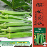 寿禾 水果秋葵种子苗春秋盆栽蔬菜种籽 潍育华纳比乐水果秋葵种子10g