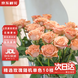 京东鲜花玫瑰花随机颜色10枝如意基地鲜切花水养插花生活花束送礼源头直发