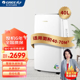 格力除湿机家用地下室抽湿机工业吸湿器大功率干燥机去湿机净化干衣卧室客厅办公室除湿 40L/天 智能恒湿-DH40EFA1A银色