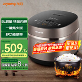 九阳（Joyoung）电饭煲家用铁釜内胆多功能菜单智能预约大功率电饭锅2-6人 50TD03【铁釜内胆 柴火饭】 5L