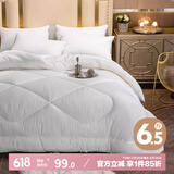 艾薇 酒店双人被子 春秋被白色被芯6斤200*230cm【不含被套】