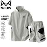 猫人套装男夏季短袖T恤立领运动休闲短裤速干两件套男装 浅灰套装 XL