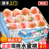 正宗水蜜桃新鲜桃子水果当季整箱果园现摘爆甜多汁山西大桃子 净重4.5斤实惠中果单个2-3两