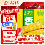 十月稻田 黄糯玉米4.4斤(220g*10根)  东北糯玉米 低脂礼盒 早餐杂粮