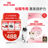 皇家幼猫猫粮 幼猫奶糕 K36 通用粮 4-12月 10KG