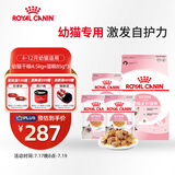 皇家猫粮 幼猫猫粮 干湿搭配 K36 4.5kg+啫喱肉冻KJP 85G*3