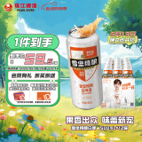 珠江啤酒（PEARL RIVER）11度 雪堡比利时风味白啤酒 500ml*12听 整箱装