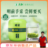 文新绿茶2025新茶上市手工头采信阳毛尖特级75g明前罐装