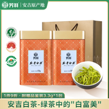 芳羽安吉白茶精品明前绿茶250g 2025年新茶 罐装茶叶