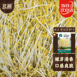 北蔬 绿豆芽苗菜种子种苗家庭水培无土栽培菜种籽 绿豆芽苗菜种子200g