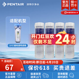 滨特尔（pentair） 净水器家用 前置10寸PP棉滤芯 简易更换 PP棉滤芯 10寸5μm通用 4只装