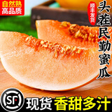 甘肃民勤蜜瓜黄河蜜甜瓜新鲜水果应当季整箱黄金脆香瓜哈密瓜 净重7-8斤【2个瓜】【顺丰京东】