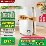 格力（GREE）除湿机/抽湿机家用20升/天卧室客厅除潮除霉除湿器干燥器可干衣智能控湿可定时DH20EH