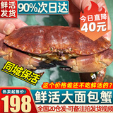 【活蟹同城包活次日达】面包蟹鲜活进口大螃蟹黄金螃蟹礼盒 【精选】鲜活大蟹500-600g/只